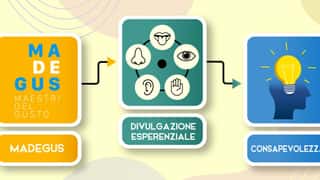 Madegus Srl Impresa Sociale