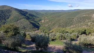 Fondo Forestale Italiano ETS