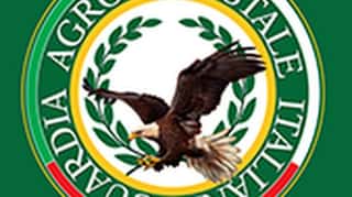 GUARDIA AGROFORESTALE ITALIANA ODV-ETS - SICILIA
