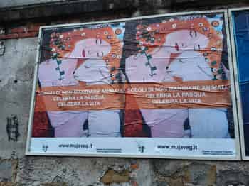 Immagine di MUJAVEG ODV