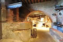 Immagine di Associazione museo della civilta' contadina di Montefoscoli  ETS