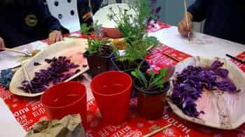 Immagine di MAGIC DYE HOUSE - ODV