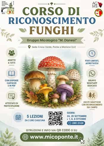 Immagine di GRUPPO MICOLOGICO MASSIMILIANO DANESI DI PONTE A MORIANO APS