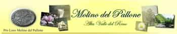 Immagine di ASSOCIAZIONE DI PROMOZIONE SOCIALE PRO LOCO MOLINO DEL PALLONE