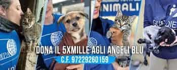 Immagine di OIPA - ORGANIZZAZIONE INTERNAZIONALE PROTEZIONE ANIMALI - ENTE DEL TERZO SETTORE