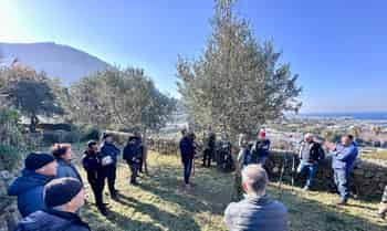 Immagine di ASSOCIAZIONE ORO VERDE, L’OLIO D’ISCHIA ETS