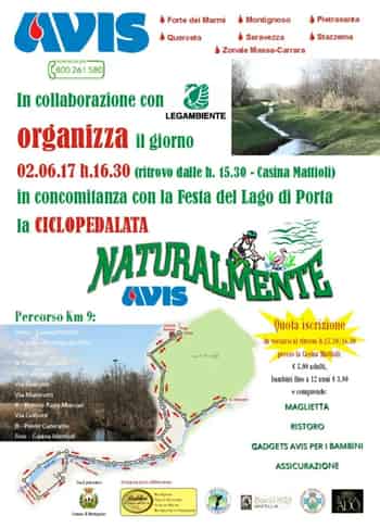 Immagine di AVIS COMUNALE DI MONTIGNOSO ODV