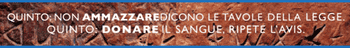Immagine di AVIS PROVINCIALE DI COSENZA ODV