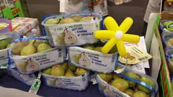 Immagine di ABIO ASSOCIAZIONE PER IL BAMBINO IN OSPEDALE LUCCA ODV