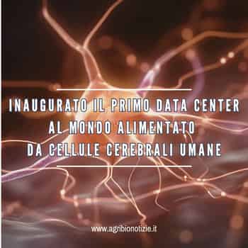 Immagine di AGRI.BIO.ITALIA ASSOCIAZIONE PER LA PROMOZIONE DI UNA NUOVA AGRICOLTURA E DI UNA SOCIETA' SCIENTIFICO SPIRITUALE ETS