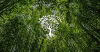Immagine di ALBERI IN COMUNE ODV