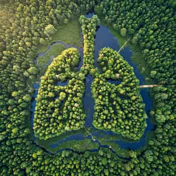 Immagine di A-MARE-D ASSOCIAZIONE PER LA PREVENZIONE E LO STUDIO DELLE MARED MALATTIE RESPIRATPRIE DA DROGA E DEL DISAGIO GIOVANILE
