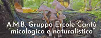 Immagine di ASSOCIAZIONE MICOLOGICA BRESADOLA GRUPPO ERCOLE CANTU APS