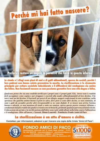 Immagine di FONDO AMICI DI PACO - ODV
