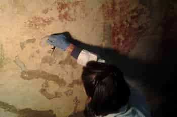 Immagine di AMICI DELLE TOMBE DIPINTE DI TARQUINIA ETS