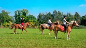 Immagine di CENTRO DI RIEDUCAZIONE EQUESTRE ANCHE NOI A CAVALLO ETS