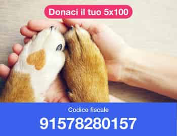 Immagine di ANIMARE ODV SEZ. DI MILANO