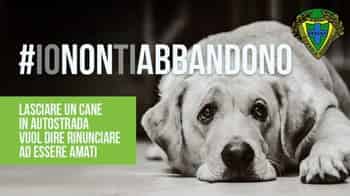 Immagine di ASSOCIAZIONE NAZIONALE PROTEZIONE ANIMALI NATURA ED AMBIENTE GUARDIE ECOLOGICHE PROTEZIONE ANIMALE