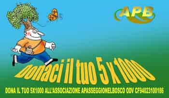 Immagine di APB - ASSOCIAZIONE A PASSEGGIO NEL BOSCO ODV