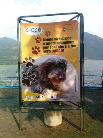 Immagine di ASSOCIAZIONE CHICO ETS