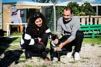 Immagine di A.S.P.A. ANGUILLARA SABAZIA PROTEZIONE ANIMALI - ODV