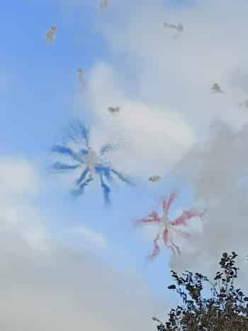 Immagine di TERRA DEI FUOCHI D'ARTIFICIO CITTA' DI SAN SEVERO - APS