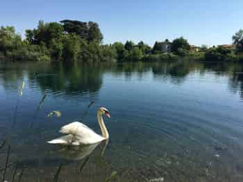 Immagine di ASSOCIAZIONE LAGO BURIDA A.P.S.