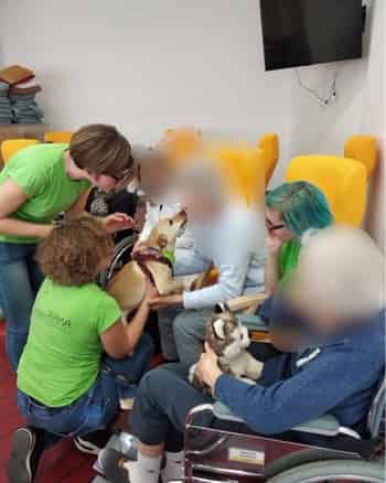 Immagine di ASSOCIAZIONE TEAMA APS