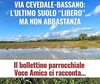 Immagine di BENE COMUNE CERNUSCO ETS