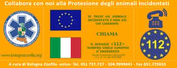 Immagine di ENTE BOLOGNAZOOFILA ODV - ETS