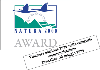 Immagine di ASSOCIAZIONE CULTURALE ARTETICA APS