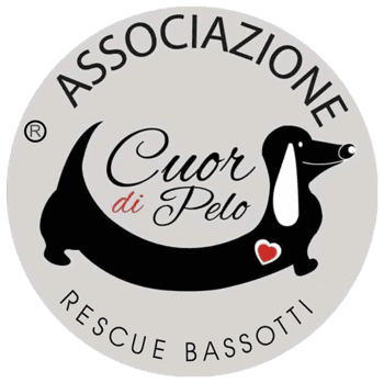 Immagine di ASSOCIAZIONE CUOR DI PELO RESCUE BASSOTTI ITALIA ETS