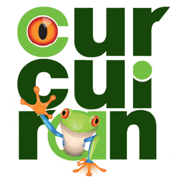 Immagine di CUR CUI RAN ASSOCIAZIONE DI PROMOZIONE SOCIALE