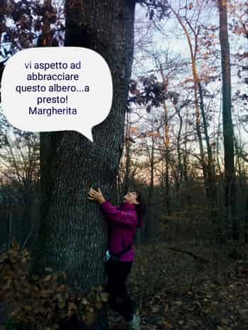 Immagine di ASSOCIAZIONE DI PROMOZIONE SOCIALE CAMMINARE LENTAMENTE