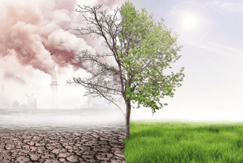 Immagine di ASSOCIAZIONE CAMPUS MEDITERRANEO APS