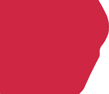 Immagine di ASSOCIAZIONE ZOOFILI CREMONESI ODV