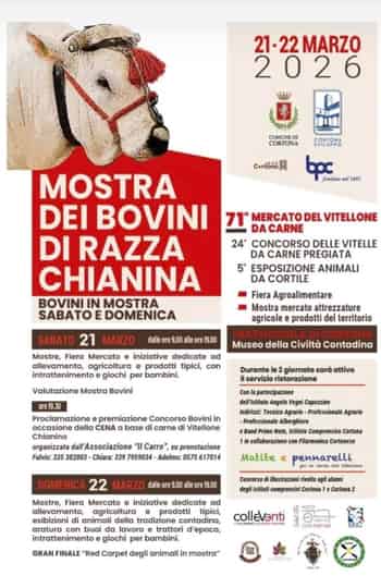 Immagine di IL CARRO APS