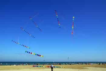 Immagine di CERVIA VOLANTE, ASSOCIAZIONE AQUILONISTI APS