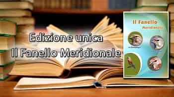 Immagine di CLUB AMATORI AVIFAUNA AUTOCTONA ODV
