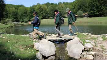 Immagine di CNGEI SEZIONE SCOUT COMUNI VESUVIANI APS