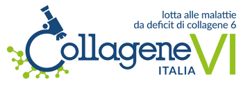 Immagine di COLLAGENE VI ITALIA APS