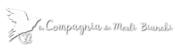 Immagine di COMPAGNIA DEI MERLI BIANCHI APS