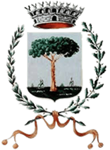 Immagine di GRUPPO COMUNALE DI VOLONTARIATO DI PROTEZIONE CIVILE DI CARPENEDOLO