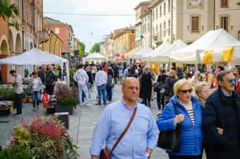 Immagine di GRUPPO COMUNALE DI VOLONTARIATO DI PROTEZIONE CIVILE DEL COMUNE DI CASTELFRANCO EMILIA