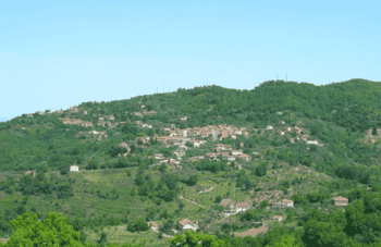 Immagine di GRUPPO COMUNALE DI VOLONTARIATO DI PROTEZIONE CIVILE DEL COMUNE DI LAPPANO