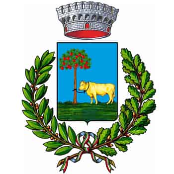 Immagine di GRUPPO COMUNALE DI VOLONTARIATO DI PROTEZIONE CIVILE DEL COMUNE DI SANTO STEFANO LODIGIANO ETS