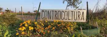 Immagine di CONTROCOLTURA APS