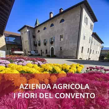 Immagine di CONVENTO DI S. ANTONIO - COMUNITA' DI ACCOGLIENZA