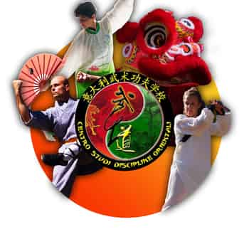 Immagine di CENTRO STUDI DISCIPLINE ORIENTALI ASSOCIAZIONE SPORTIVA DILETTANTISTICA APS