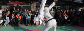 Immagine di CENTRO STUDI JUDO FIOR DI LOTO ASSOCIAZIONE SPORTIVA DILETTANTISTICA DI PROMOZIONE SOCIALE